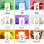 12 Packs Lavender Scented Sachets Air Freshener for Drawer and Closet, Long-Lasting Sachet Bag Room Car Odor Deodorizer Fresh Scent Home Fragrance