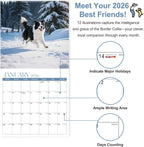 2026 Wall Calendar, Calendar 2026, Border Collies Monthly Wall Calendar (Jan 2026 - Dec 2026) 12" X 24" Opened, Hanging Calendar Thick Paper for Family Adults Kids Office Home