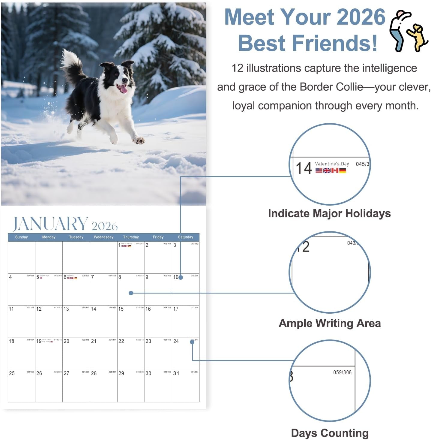 2026 Wall Calendar, Calendar 2026, Border Collies Monthly Wall Calendar (Jan 2026 - Dec 2026) 12" X 24" Opened, Hanging Calendar Thick Paper for Family Adults Kids Office Home