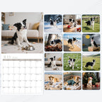 2026 Wall Calendar, Calendar 2026, Border Collies Monthly Wall Calendar (Jan 2026 - Dec 2026) 12" X 24" Opened, Hanging Calendar Thick Paper for Family Adults Kids Office Home