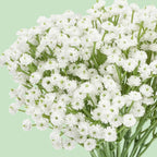 10 Baby Breath Artificial Flowers - 7.6" Babies Breath Flowers Artificial Faux Flowers Bouquet White Fores Greenery Real Touch Fake Flowers Arrangements Wedding Centerpieces Tables Decorations