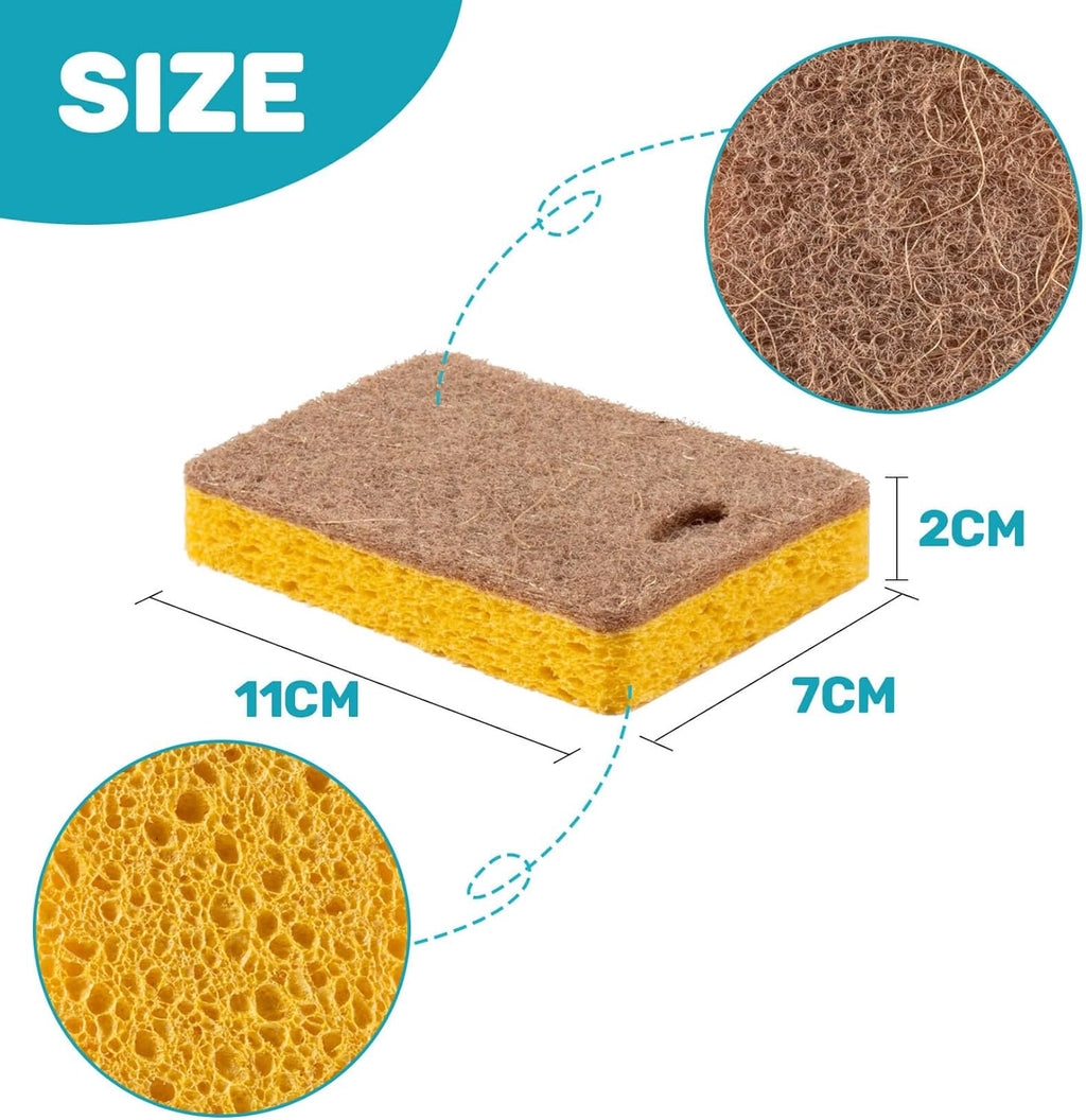 10PCS Natural Sponges for Dishes - Biodegradable Sponges Kitchen Eco Friendly Dish Sponge Non-Scratch Sponges for Cleaning Kitchen